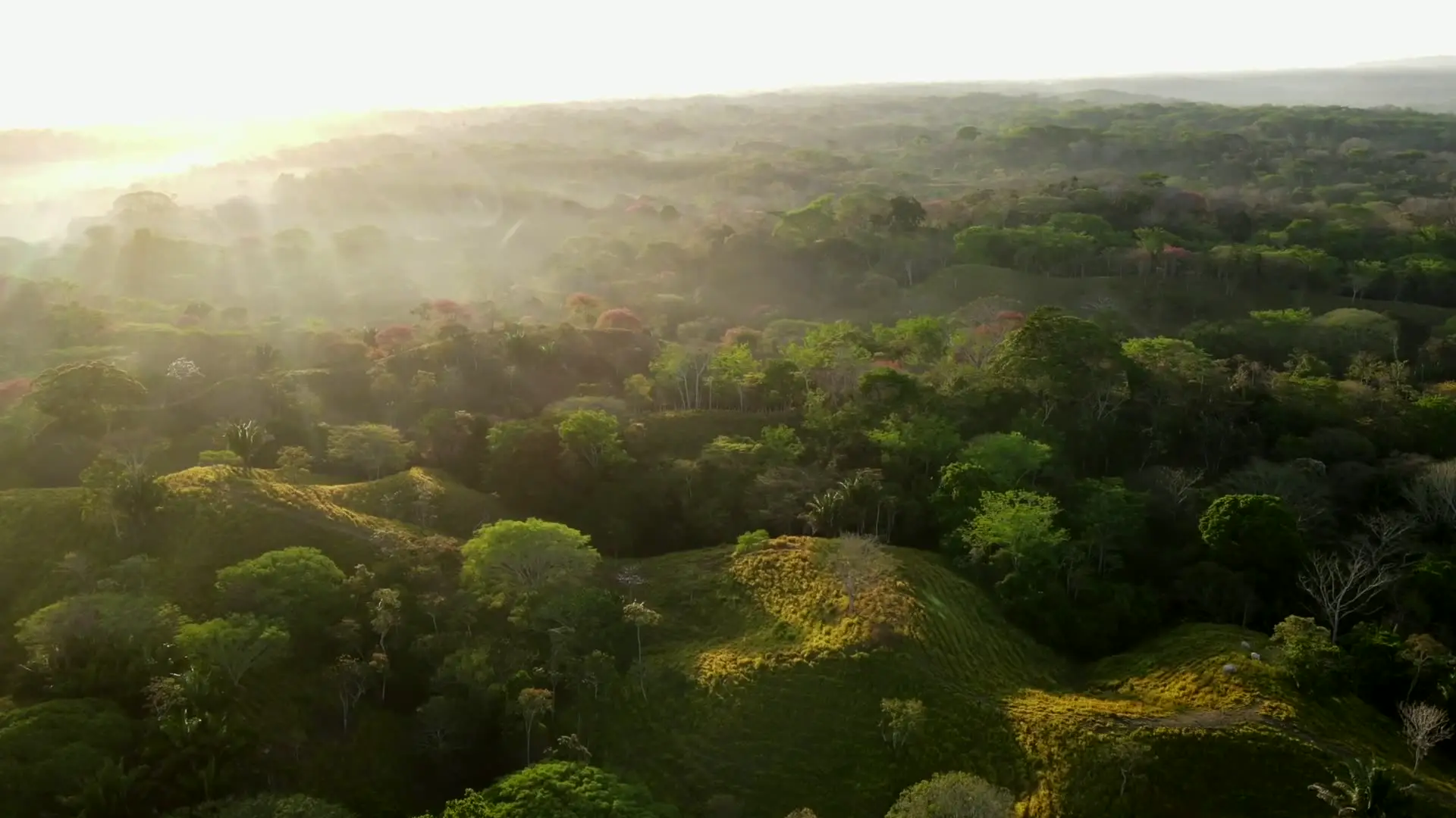 Sunrise over the Costa Rican jungle canopy